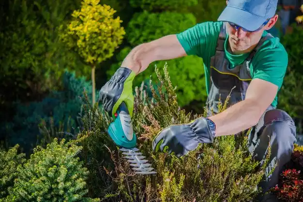 landscaping services Metairie